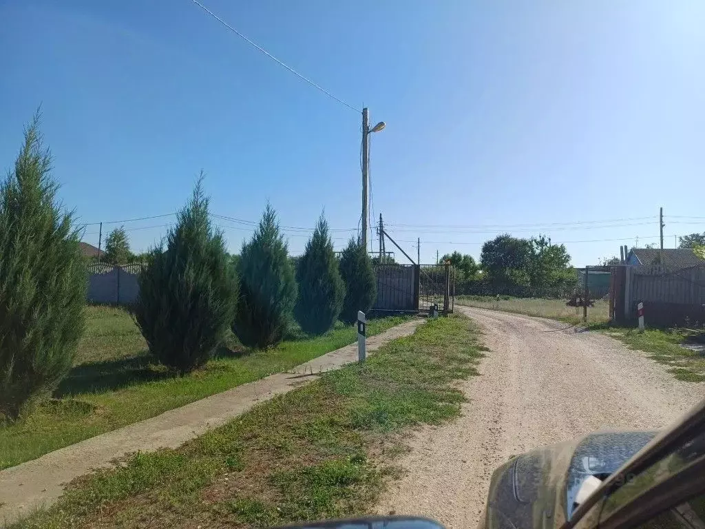 Участок в Волгоградская область, Среднеахтубинский район, Красное ... - Фото 2