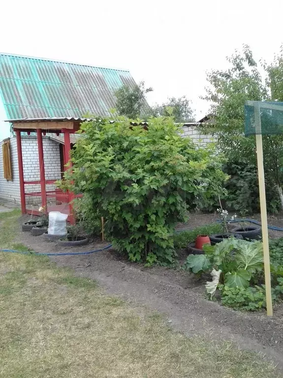 Дом 45 м на участке 6 сот. - Фото 0