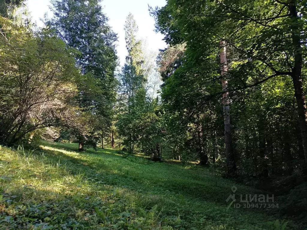 Участок в Московская область, Одинцовский городской округ, пос. ... - Фото 0