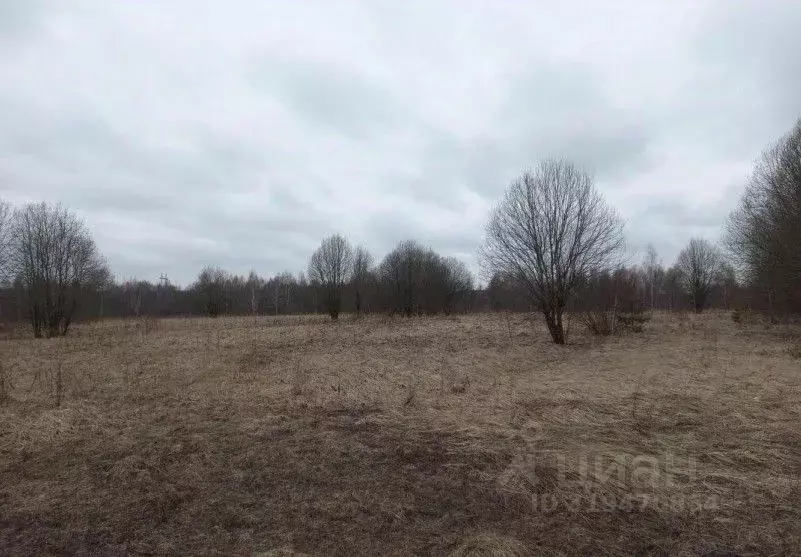 Участок в Московская область, Дмитровский муниципальный округ, д. ... - Фото 1