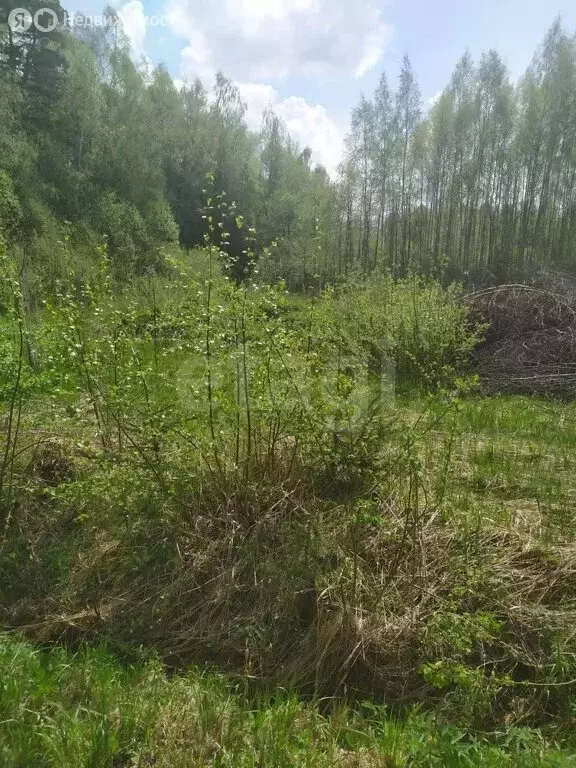 Участок в Наро-Фоминский городской округ, СНТ Купелицы, 191 (9 м) - Фото 0