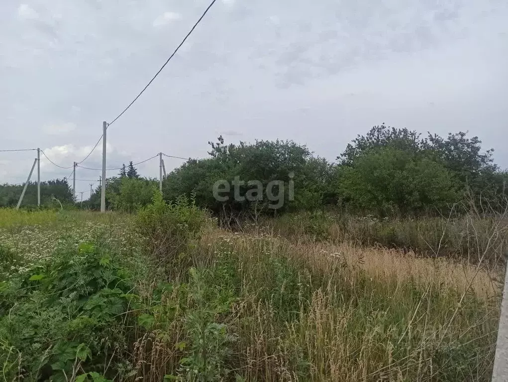 Участок в Белгородская область, Строитель Яковлевский городской округ, ... - Фото 1