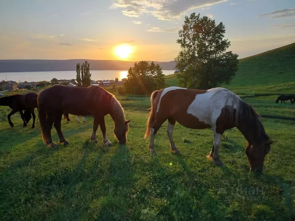 Дом в Башкортостан, Мелеузовский район, Нугушевский сельсовет, д. ... - Фото 1
