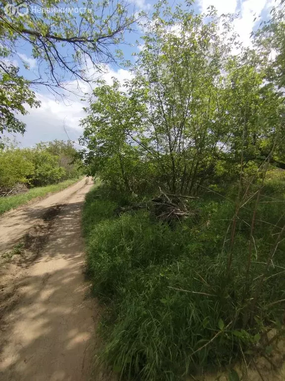 Участок в Новочеркасск, Айвовая улица, 43 (6 м) - Фото 0