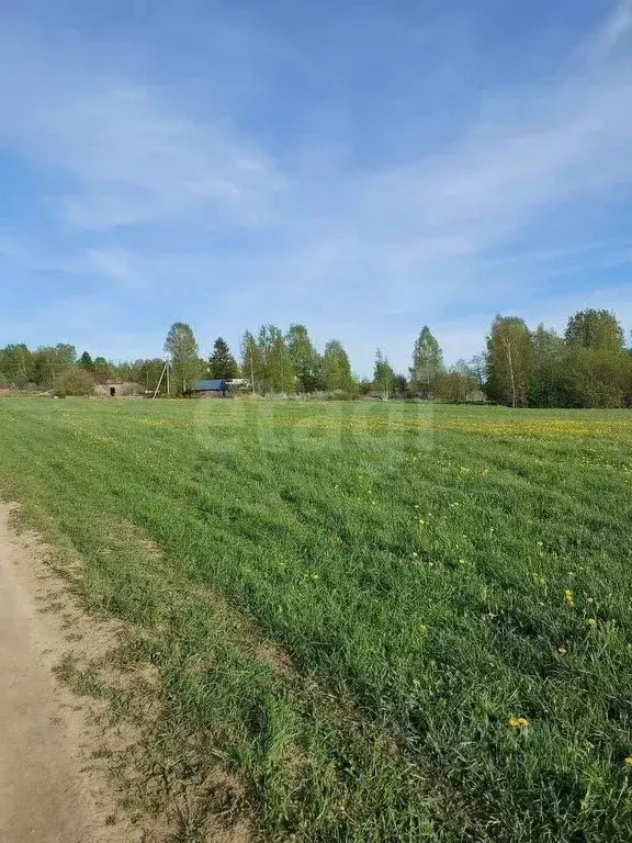 Участок в Вологодская область, с. Куркино  (15.0 сот.) - Фото 2