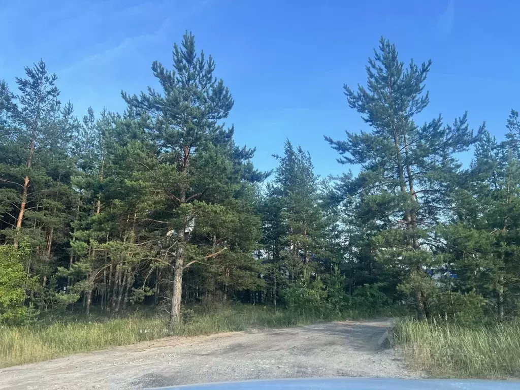 Участок в Нижегородская область, Дзержинск Жилого комплекса Северные ... - Фото 2