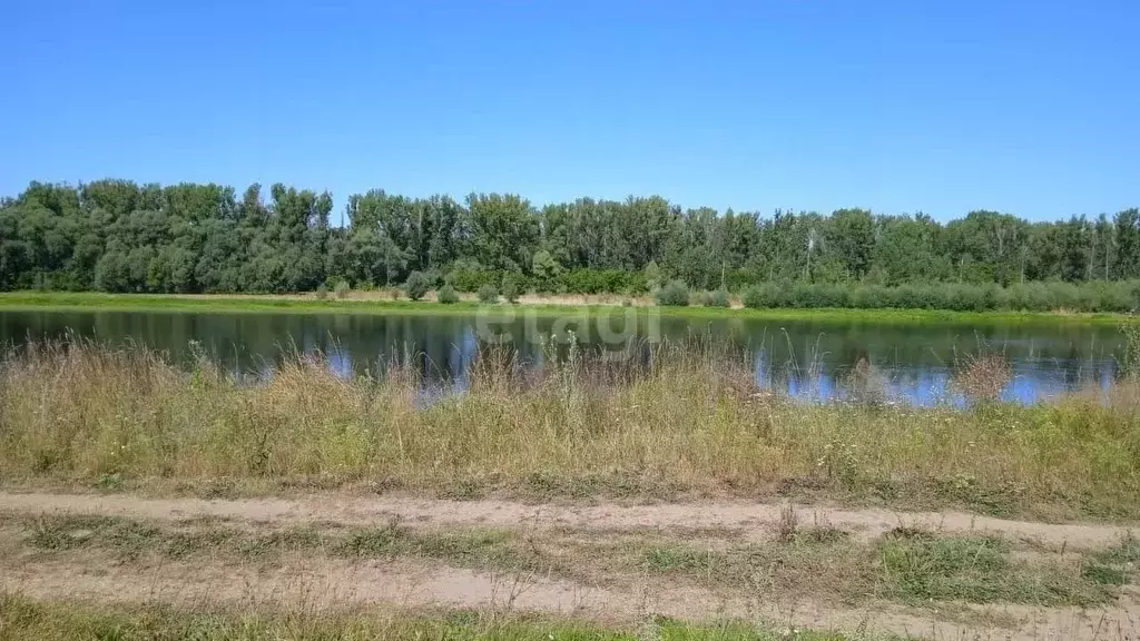 Участок в Башкортостан, Нуримановский район, Красногорский сельсовет, ... - Фото 2