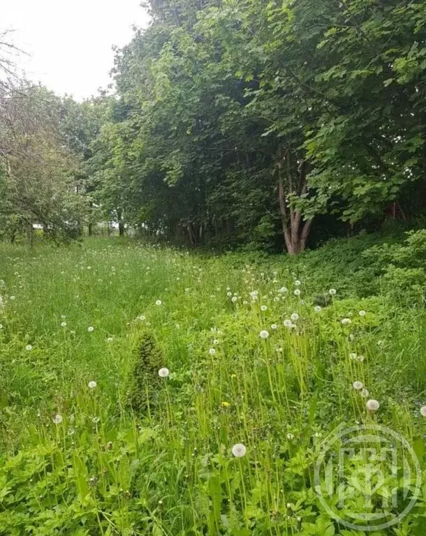 Участок в Виллозское городское поселение, деревня Мурилово (17 м) - Фото 0