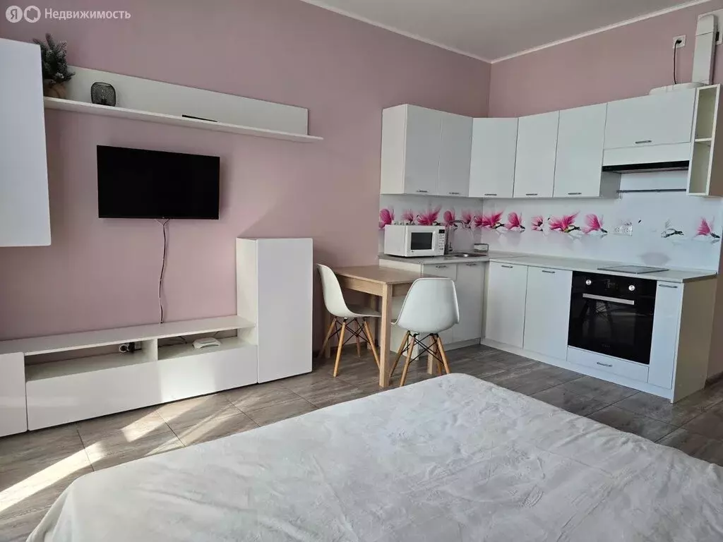 Квартира-студия: Шушары, Школьная улица, 17 (26.1 м) - Фото 1