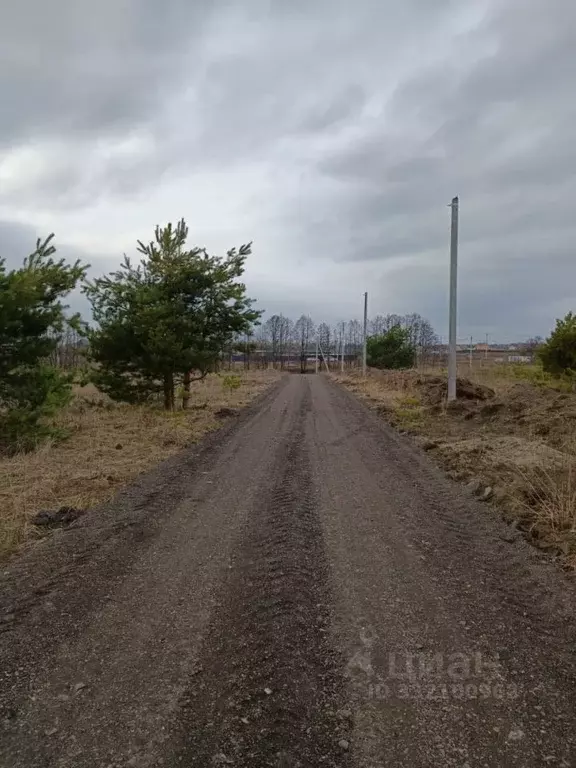 Участок в Московская область, Раменское ул. Сергия Радонежского (9.87 ... - Фото 2