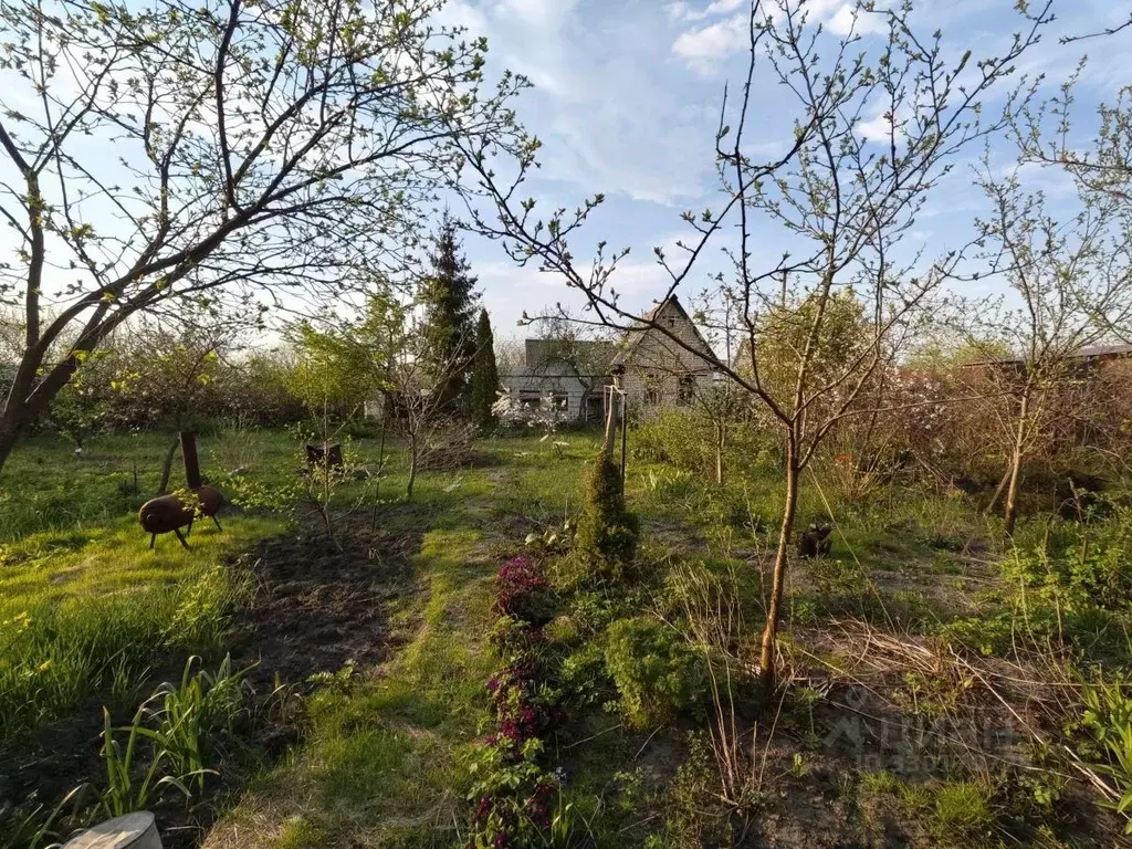 Участок в Пензенская область, Пенза Юность СДТ, 222 (4.0 сот.) - Фото 1