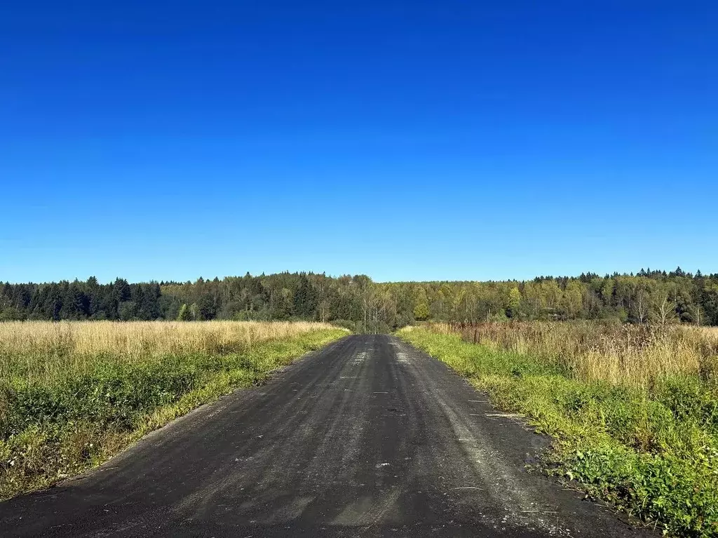Участок в Московская область, Дмитровский муниципальный округ, ... - Фото 1