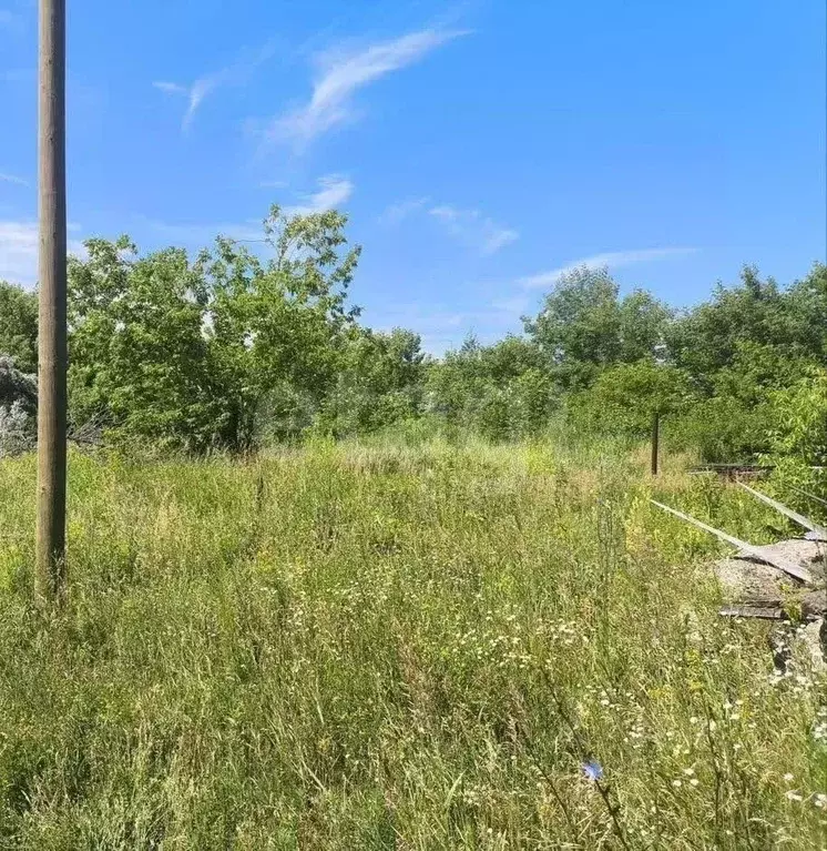 Участок в Алтайский край, Первомайский район, Шинник СНТ  (24.7 сот.) - Фото 1