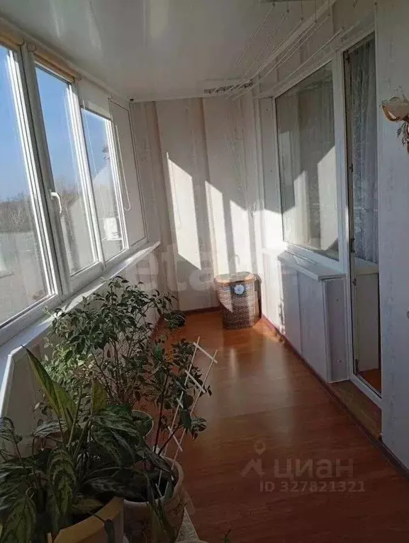 3-к кв. Белгородская область, Белгородский район, пос. Майский ул. ... - Фото 2