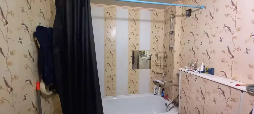 1-к кв. Мурманская область, Мурманск ул. Нахимова, 15 (34.0 м) - Фото 2