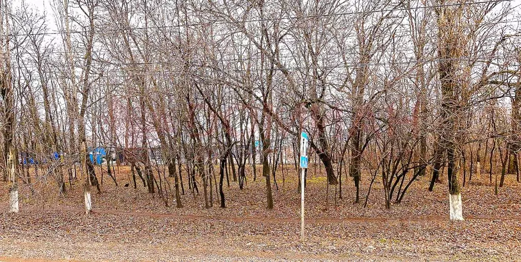 Участок в Ростовская область, Аксай ул. Авиаторов, 1 (303.0 сот.) - Фото 1