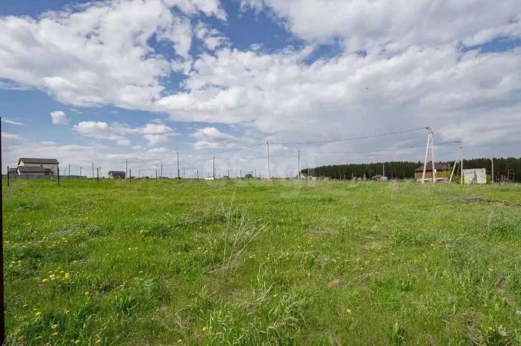Участок в Татарстан, Тукаевский район, Малошильнинское с/пос, с. ... - Фото 2