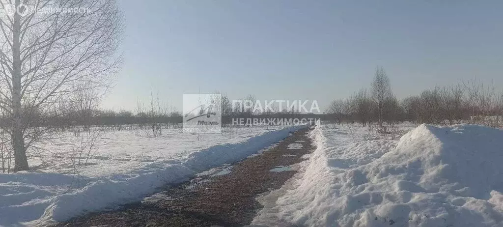 Участок в Московская область, Раменский муниципальный округ (8 м) - Фото 1