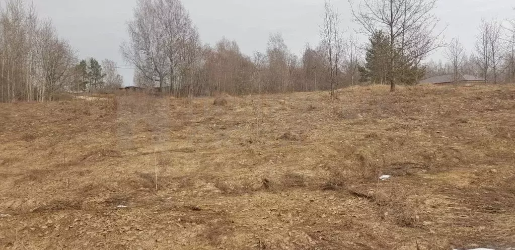 Участок в Новгородская область, Боровичский район, д. Егла Зеленый ... - Фото 1