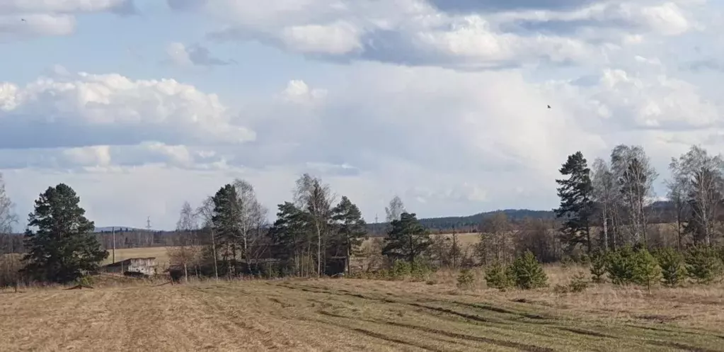 Участок в Свердловская область, Горноуральский городской округ, с. ... - Фото 1