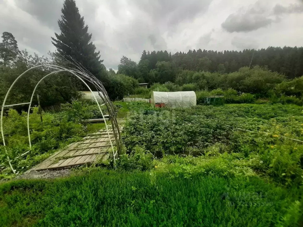 Участок в Свердловская область, Талицкий муниципальный округ, пос. ... - Фото 1