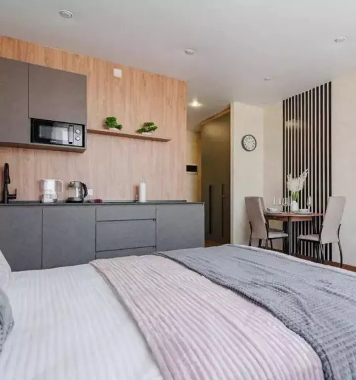 Студия Свердловская область, Екатеринбург ул. Фрунзе, 31 (28.0 м) - Фото 2