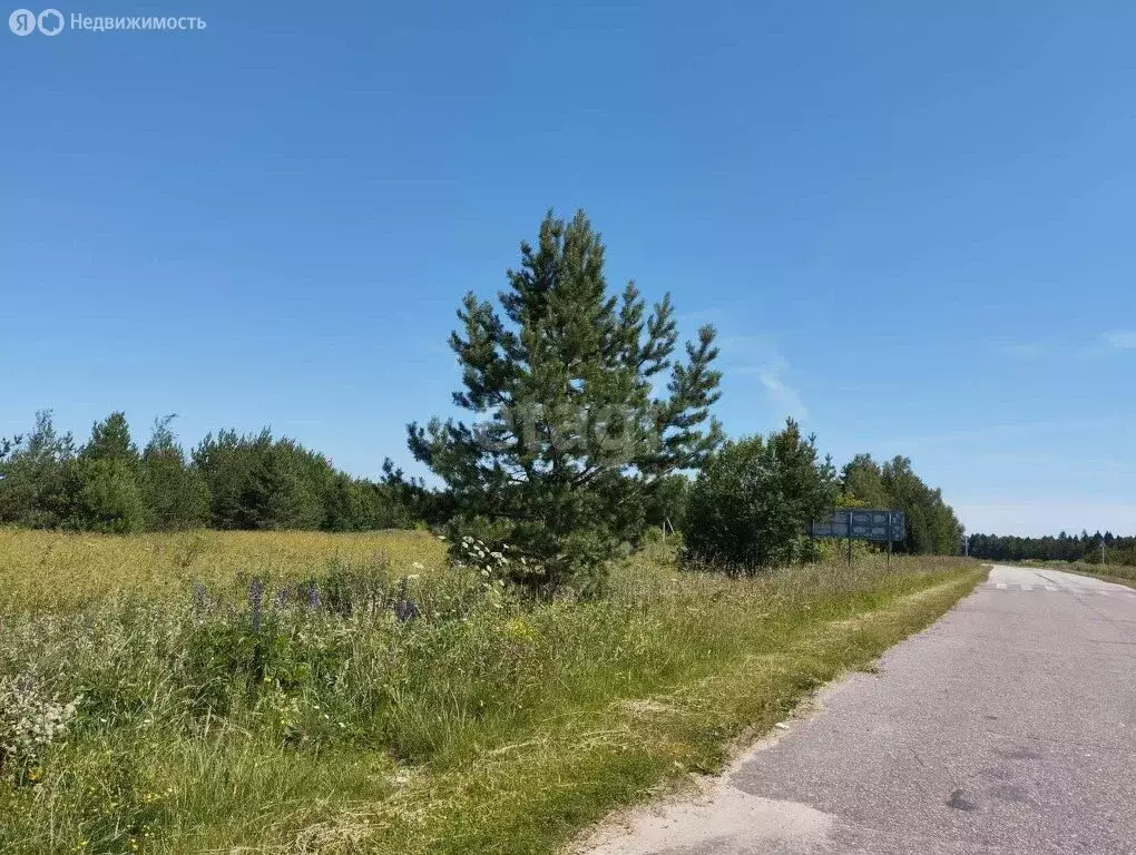 Участок в Селивановский район, муниципальное образование Малышевское, ... - Фото 1