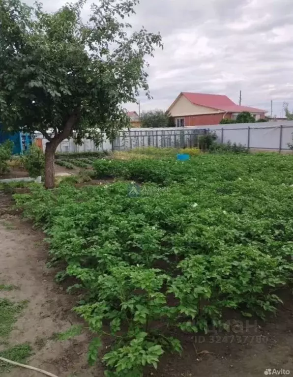 Дом в Тюменская область, Тюмень Антипино мкр, ул. Каспийская, 12 (251 ... - Фото 1