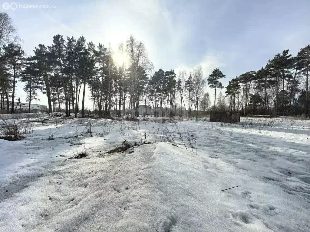 Участок в село Лесное, Совхозная улица (23 м) - Фото 2