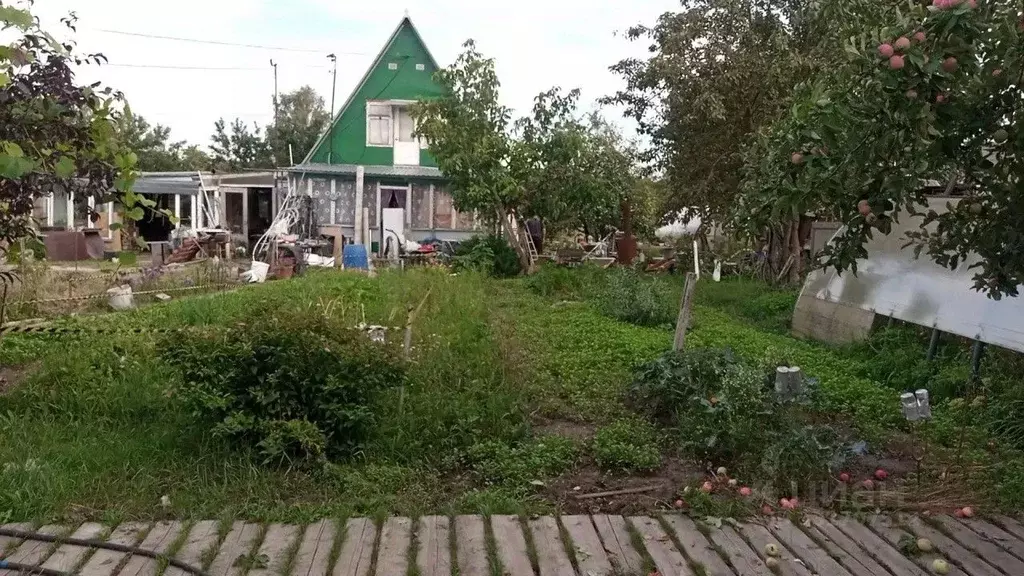 Дом в Орловская область, Урицкий район, Котовское с/пос, Нарышкино ... - Фото 2