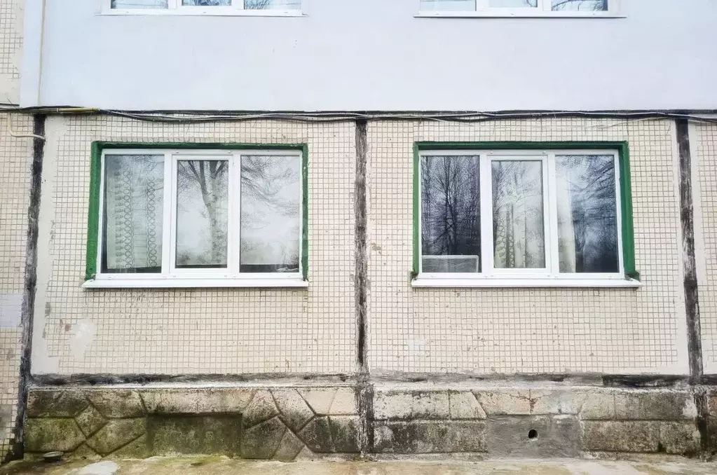 2-к кв. Калужская область, Ферзиковский муниципальный округ, ... - Фото 1