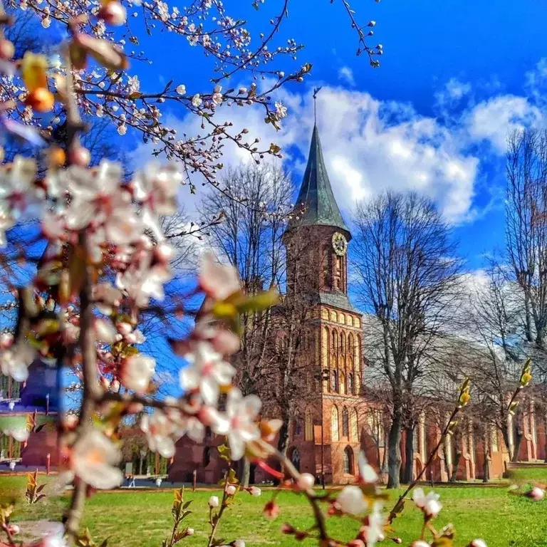 1-к кв. Калининградская область, Калининград ул. Генерала Галицкого, ... - Фото 2