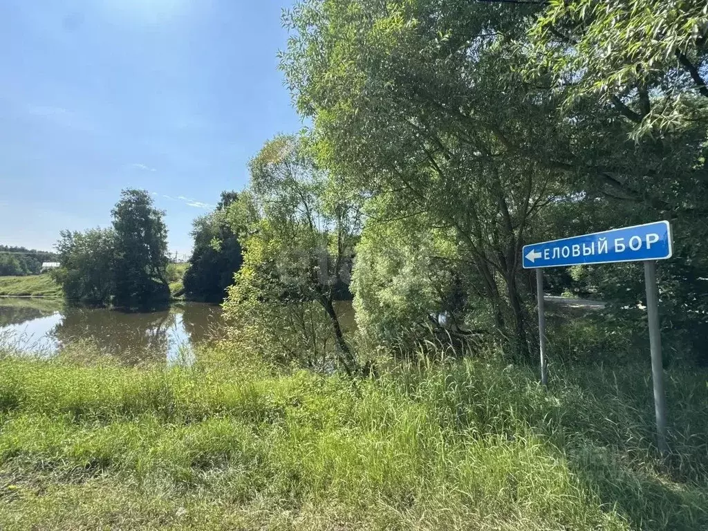 Участок в Московская область, Домодедово городской округ, д. Ивановка, ... - Фото 1