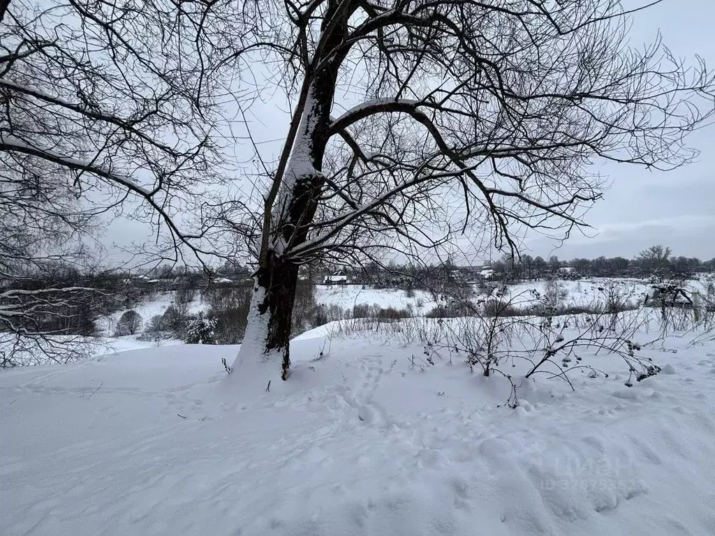 Участок в Московская область, Ступино городской округ, д. Прудно ул. ... - Фото 0