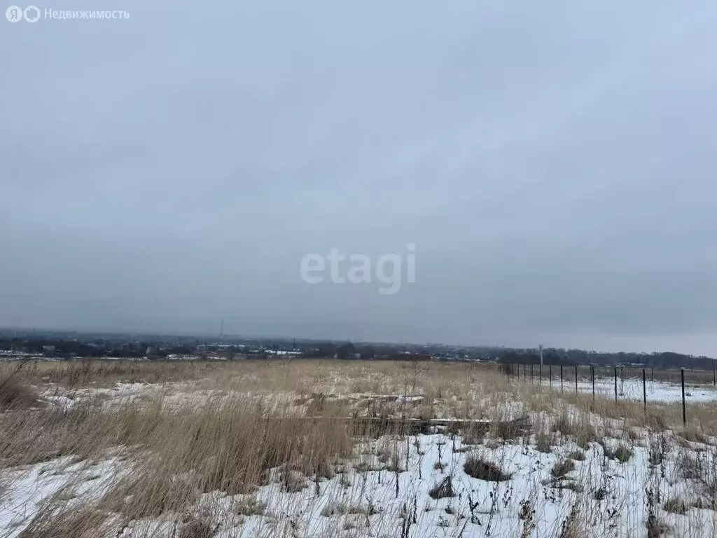 Участок в Курский район, Новопоселеновский сельсовет, деревня 1-е ... - Фото 1