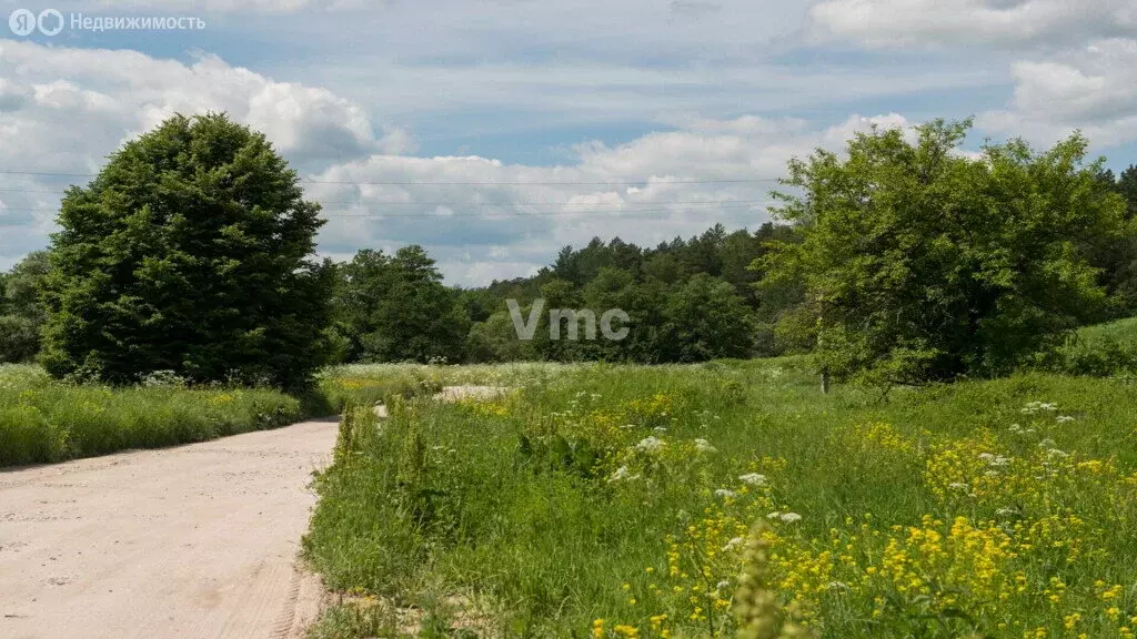 Участок в Московская область, посёлок Власиха (23 м) - Фото 0