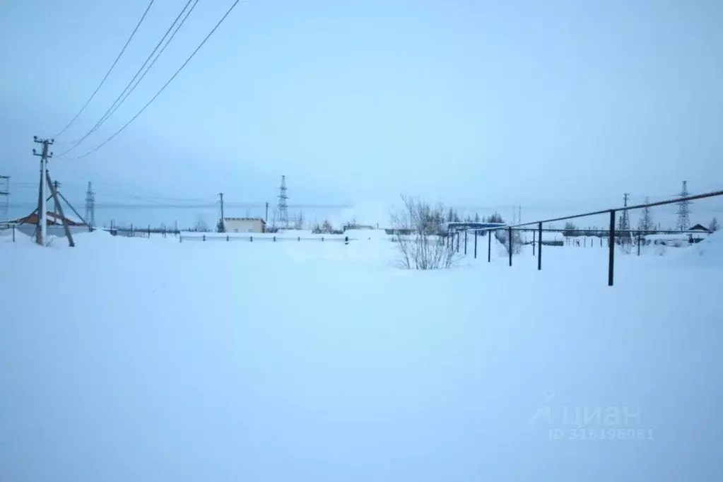 Участок в Ямало-Ненецкий АО, Новый Уренгой Северный Берег ДНТ, 7 (4.76 ... - Фото 0