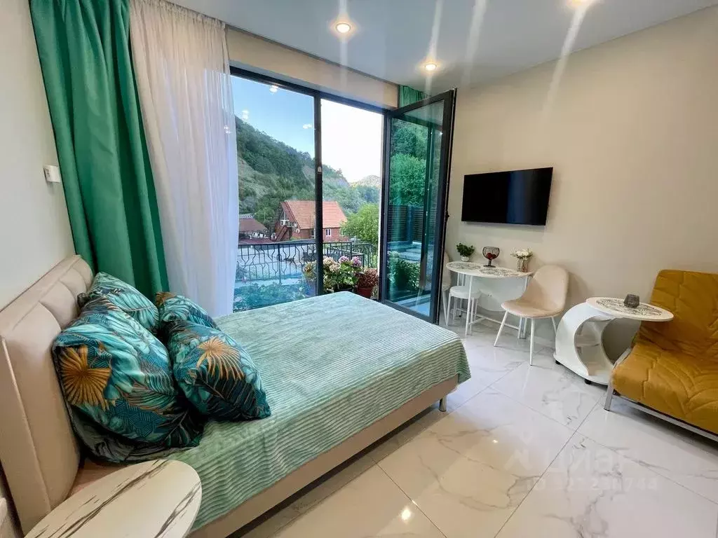 1-к кв. Краснодарский край, Сочи Виноградная ул., 219А (21.0 м) - Фото 1