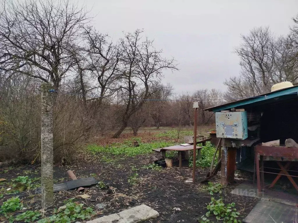 Дом в Курская область, Касторенский район, с. Жерновец Луговая ул., 30 ... - Фото 2