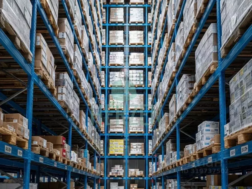 Склад в Московская область, Видное Северная промзона, вл16 (7000 м) - Фото 1