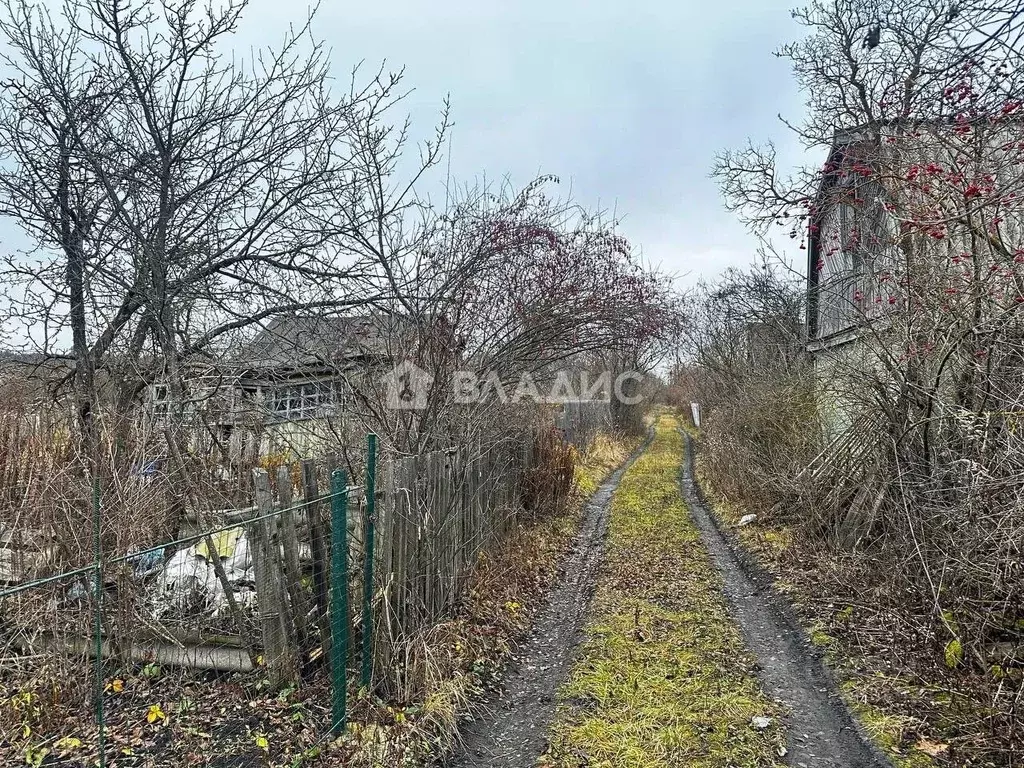 Участок в Пензенская область, Пенза Имени Мичурина завода ВЭМ садовое ... - Фото 1