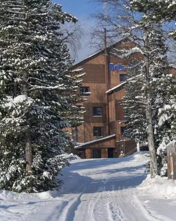 Комната Кемеровская область, Таштагольский район, Шерегешское ... - Фото 0