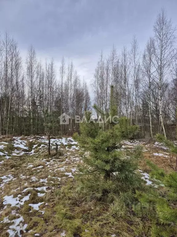 Участок в Ленинградская область, Кировский район, Павловское городское ... - Фото 0