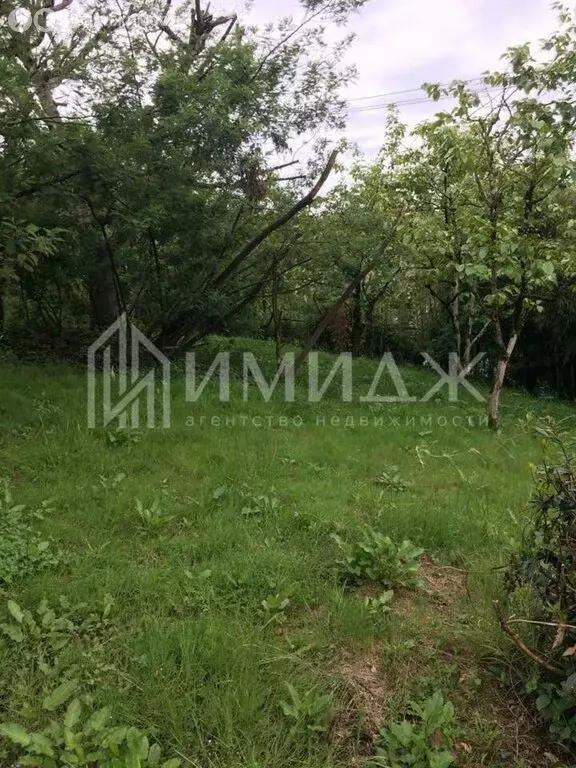 Участок в село Черешня, Владимировская улица (53 м) - Фото 1