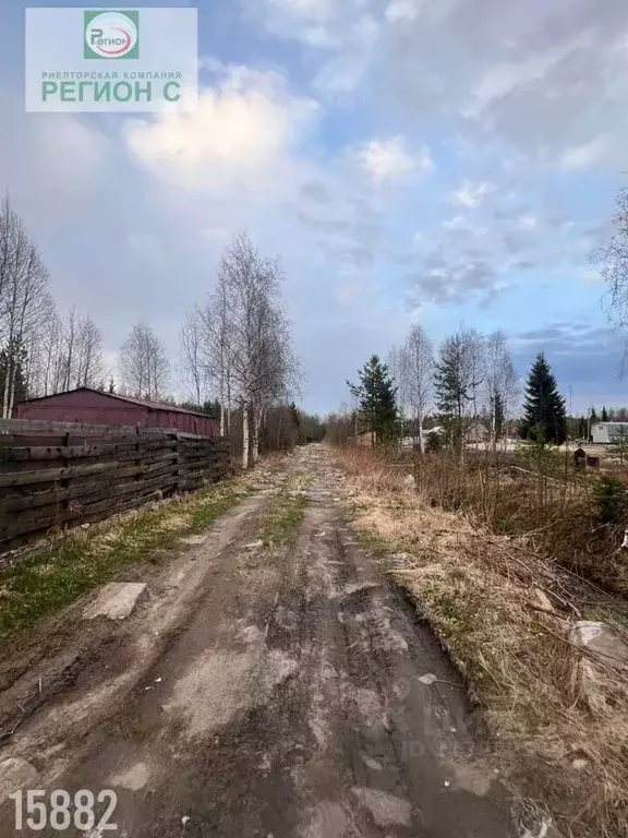 Участок в Архангельская область, Приморский муниципальный округ, ... - Фото 2