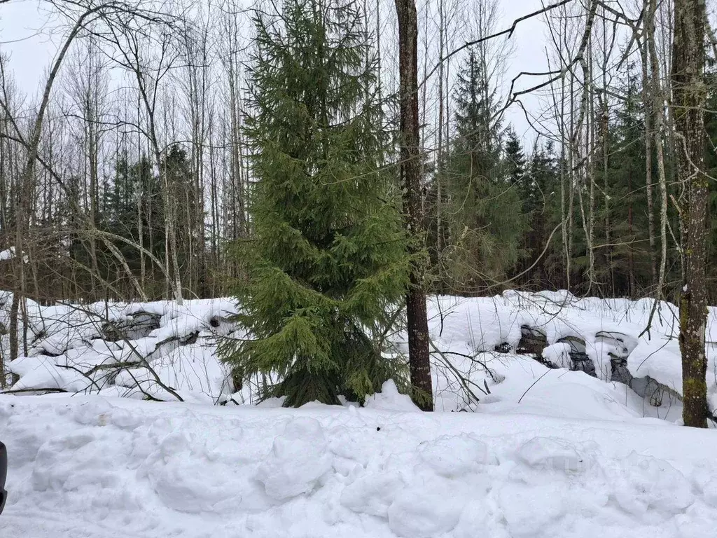 Участок, 14 сот., сельхоз (снт или днп) - Фото 1