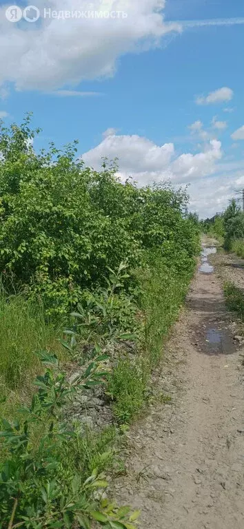Участок в Свердловская область, муниципальное образование ... - Фото 2