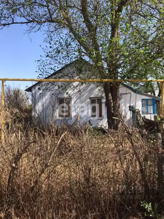 Дом в Крым, Раздольненский район, Березовское с/пос, с. Нива ул. ... - Фото 1