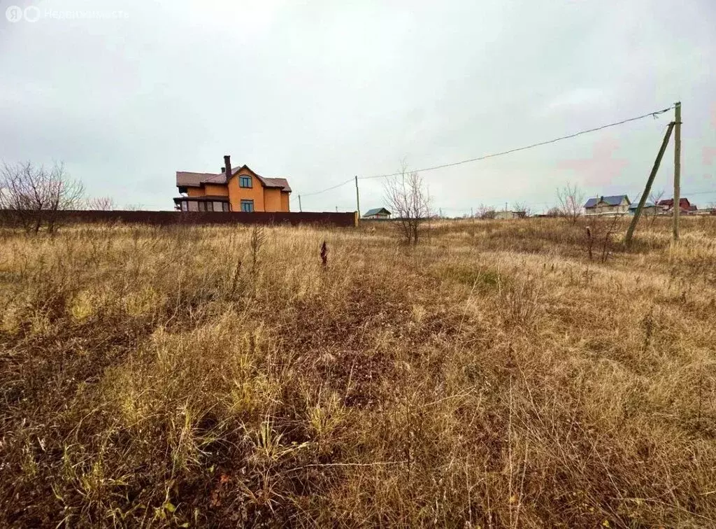 Участок в Пензенский район, Богословский сельсовет, село Малая ... - Фото 2