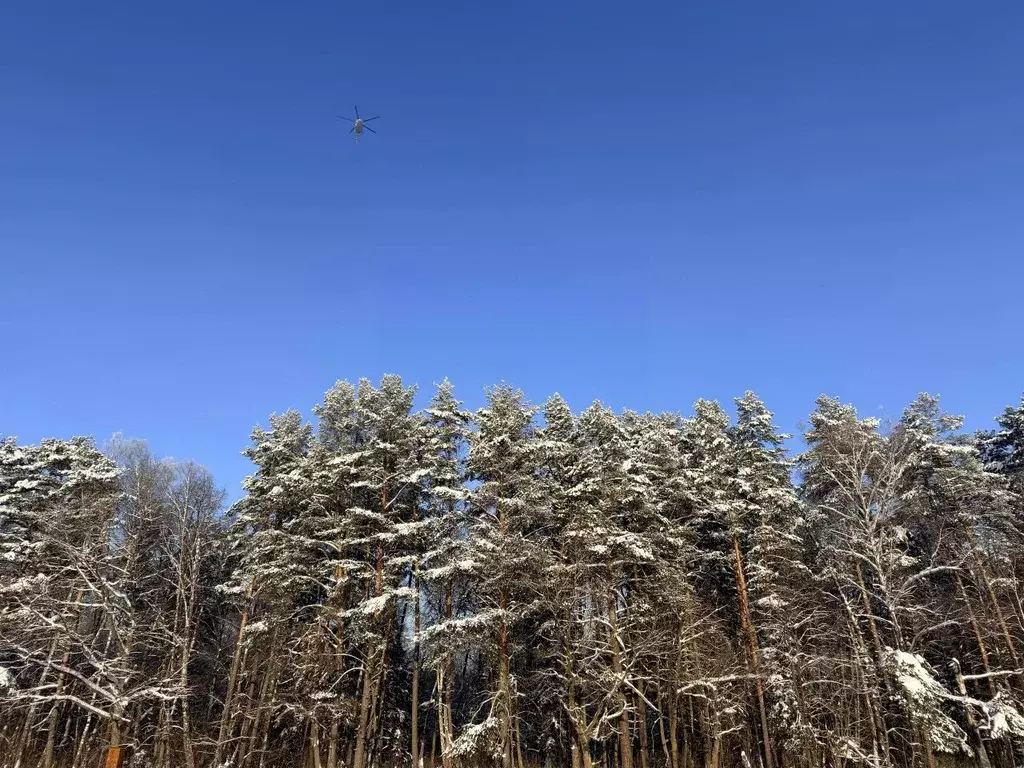 Участок в Московская область, Серпухов городской округ, д. ... - Фото 2
